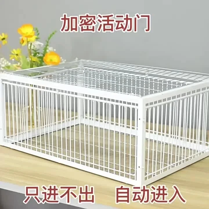 天落笼撞门笼防锈兔笼加密只进不出鸡子笼全自动收鸽笼进鸽子神器