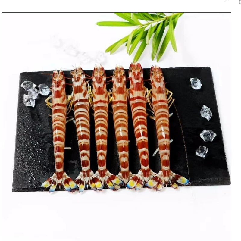 【直播优惠--斑节虾】新鲜野生斑节虾大虾海捕鲜活刺身海鲜花虾明虾