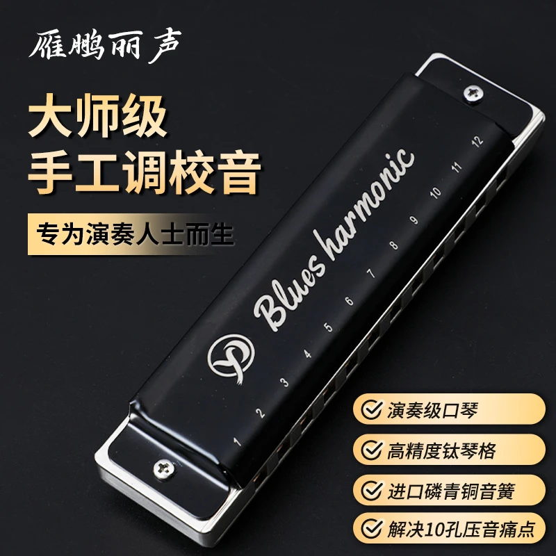 yinpenglisheng/雁鹏丽声钛格纪念版12孔布鲁斯
