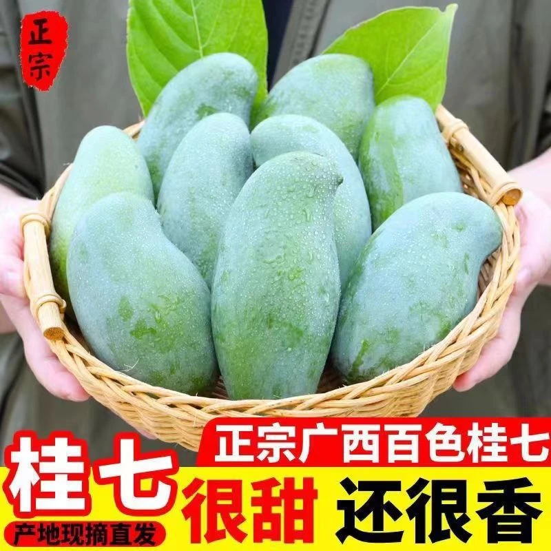 正宗广西百色桂七芒果青皮香芒生态老树花皮果成熟后香甜新鲜水果