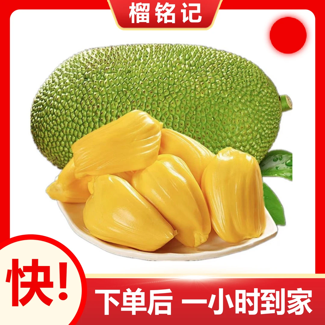 【特A级】整果10-12斤进口A级越南红肉菠萝蜜 | 高品质整果|一小时送达|取芯后7.5斤左右