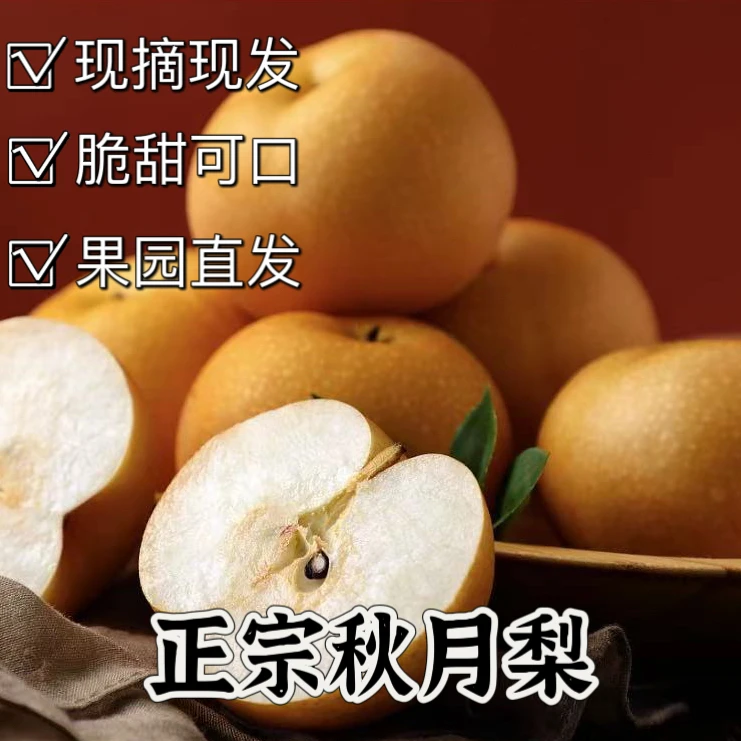 正宗山东秋月梨4-4.5斤 6-8个装【多仓发货】