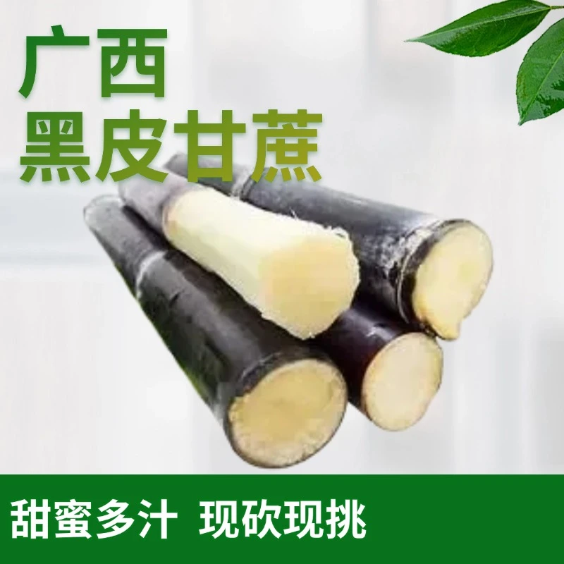 广西黑皮甘蔗薄皮脆甜现砍现挑