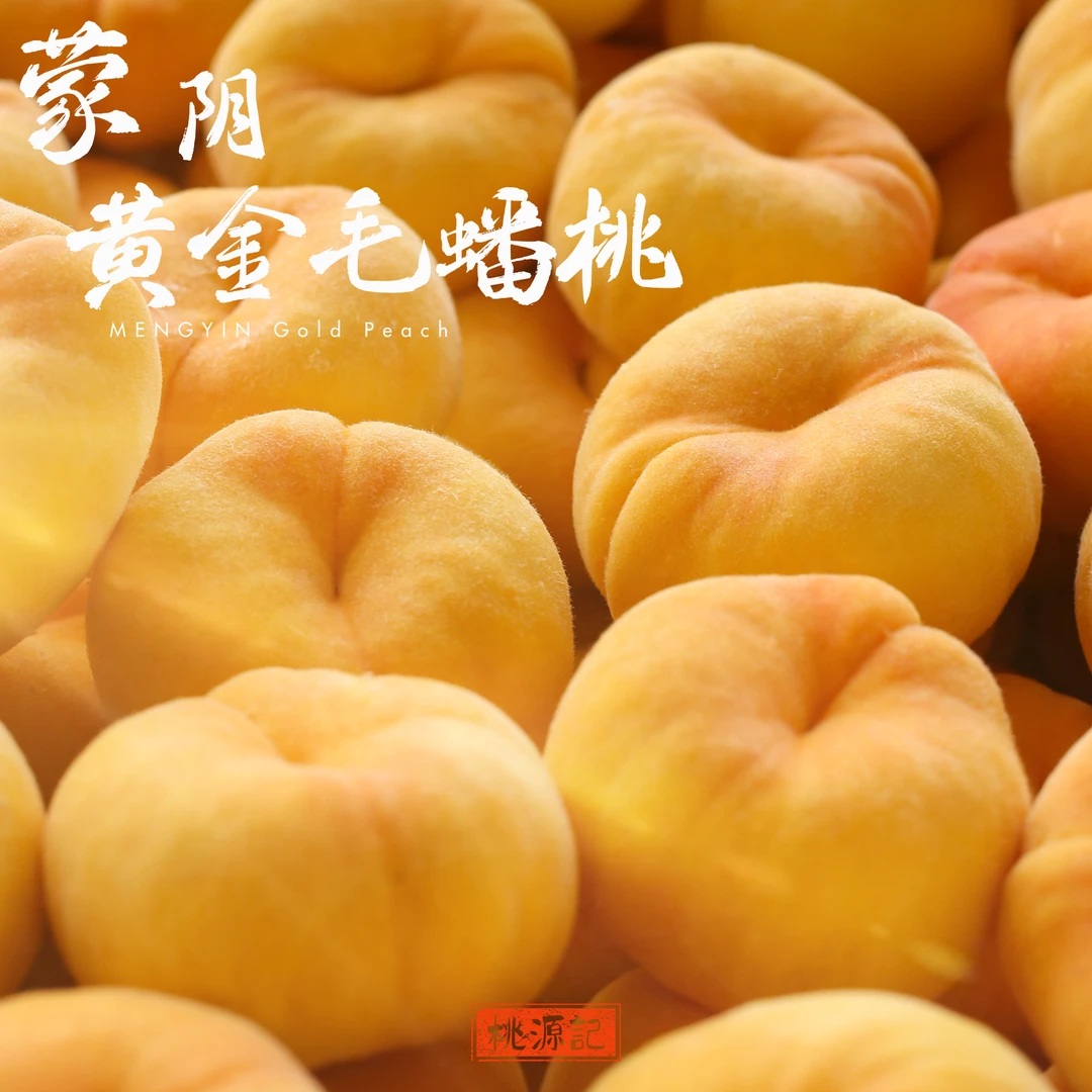 山东蒙阴毛蟠桃子孕妇解馋水果脆甜优质肉厚果香清甜多汁果园甘甜