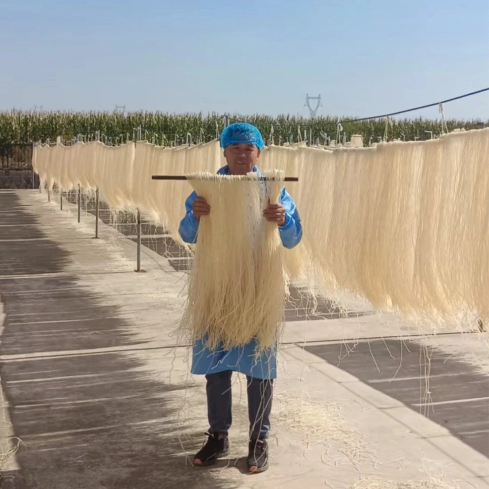 【鲁珍】纯红薯粉条（不含木薯不加胶）火锅炖粉炖菜粉200g*5袋