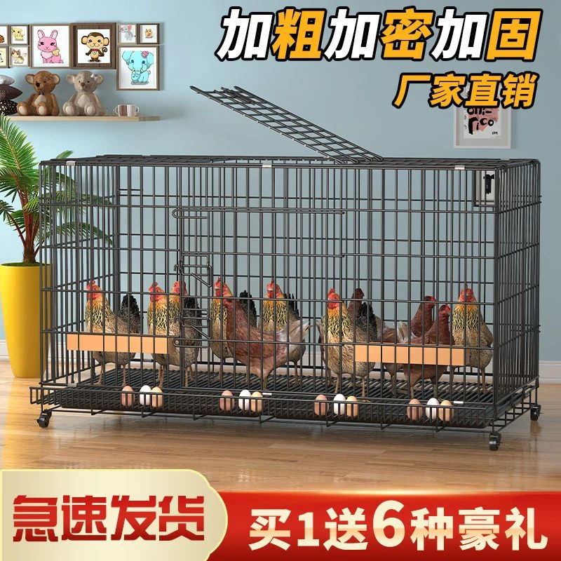 天雪纳鸡笼子家用室内大号特大号自动滚蛋清粪鸡舍鸭子小兔子笼子