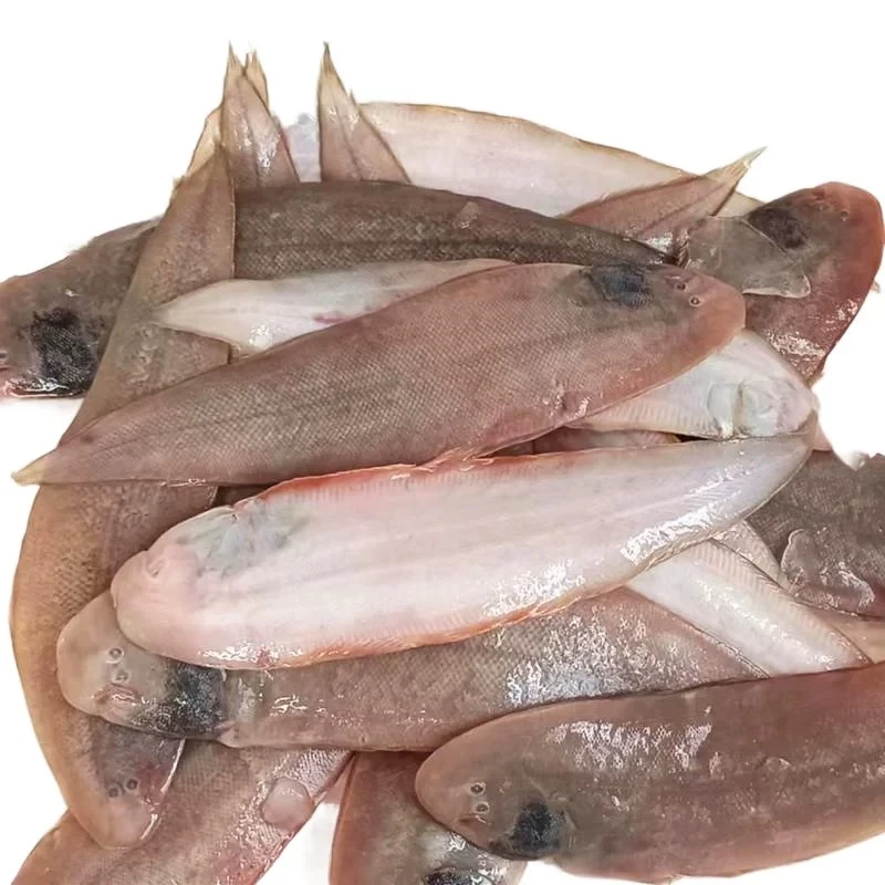 中号比目鱼（大连新鲜牛舌鱼4斤）鲜美舌头鱼捕捞龙利鱼鳎目鱼