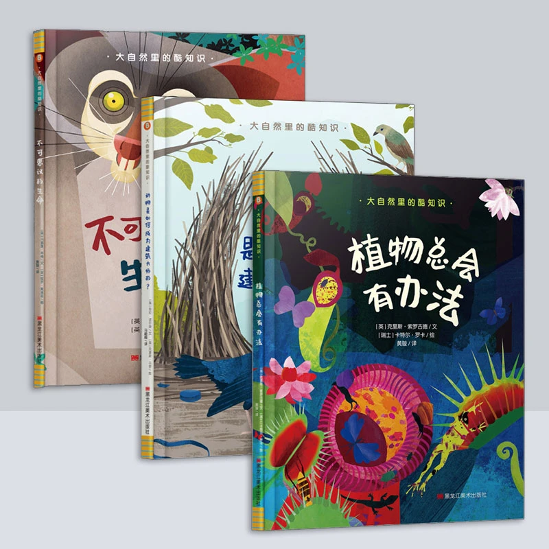 大自然里的酷知识系列全三册 3-6岁儿童科普百科学习自然知识绘本