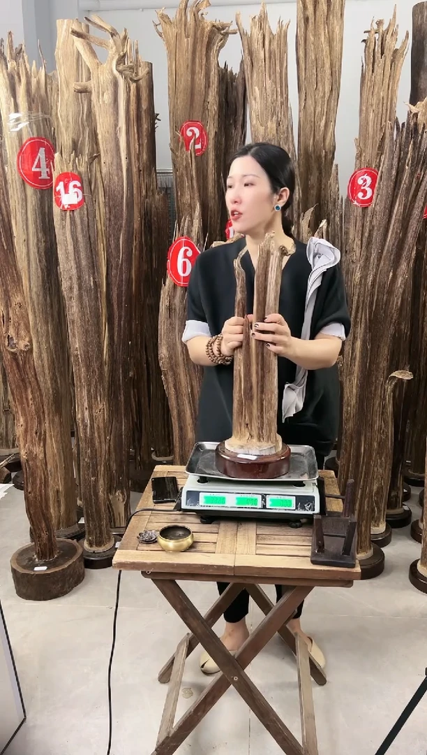 【闪购商品】沉香摆件沉香摆件+底座T52