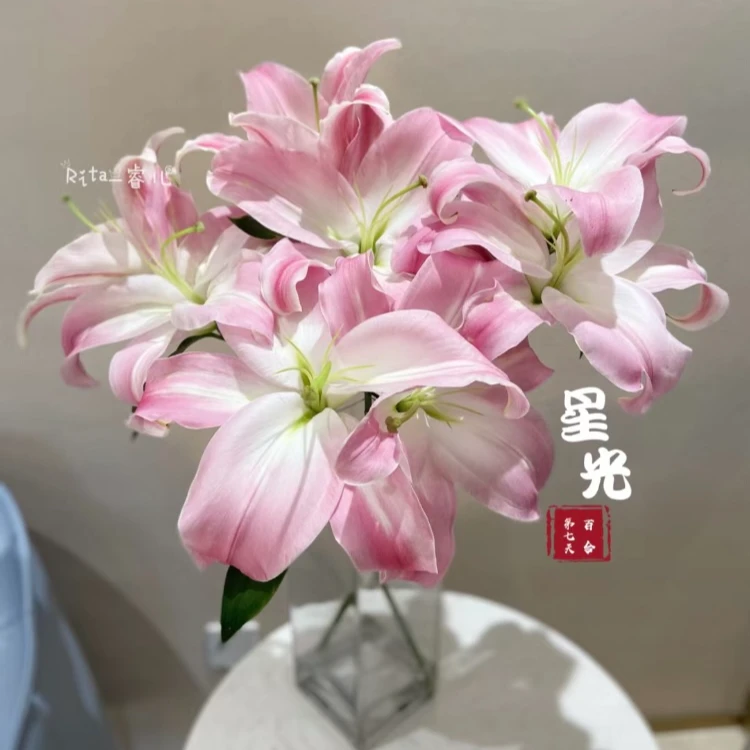 【HH 】星光香水百合【同地址任意两单顺丰包邮，鲜花20%不售后】