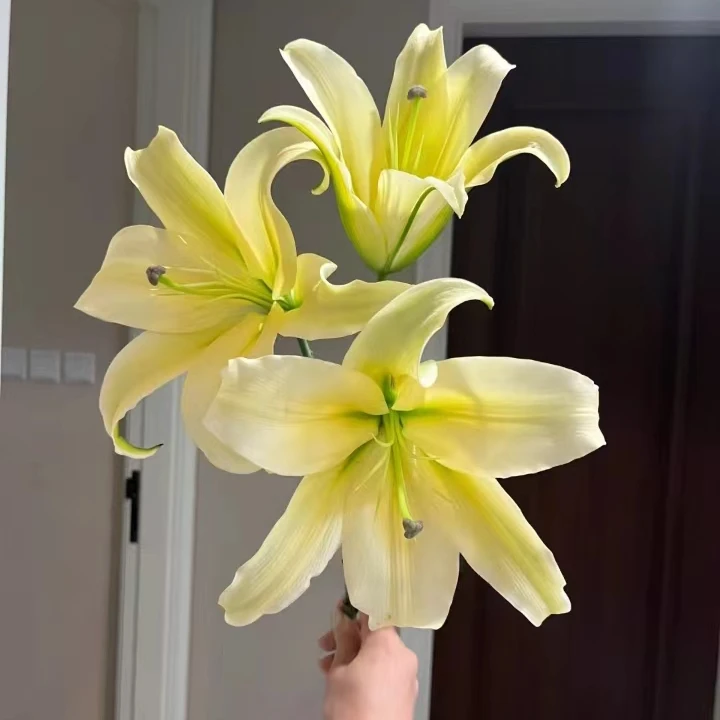 【2头】 大皇帝香水百合【2单同一地址冷链包邮 鲜花20%不售后  】