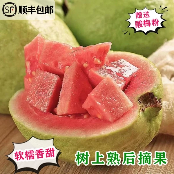 泡沫箱新款福建当季番石榴红心5斤新鲜水果芭乐香软可口顺丰包邮