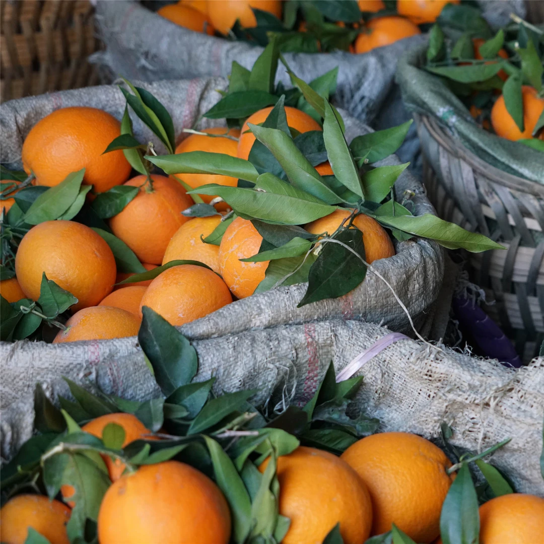 【香甜可口】正宗大凉山雷波脐橙原产地现摘新鲜应季水果5斤包邮