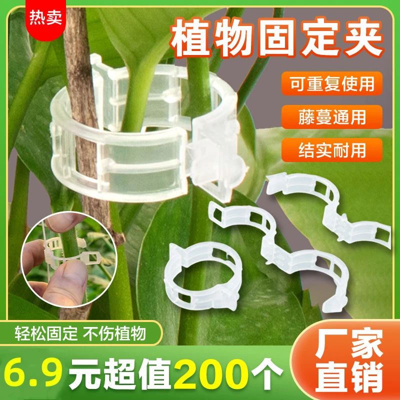 【200个装】果树绿植蔬菜固定卡扣捆绑藤蔓夹环扣植物固定夹绿植夹