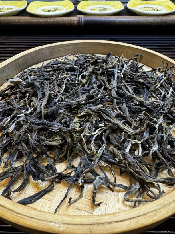 2024年下邦木古树生茶
