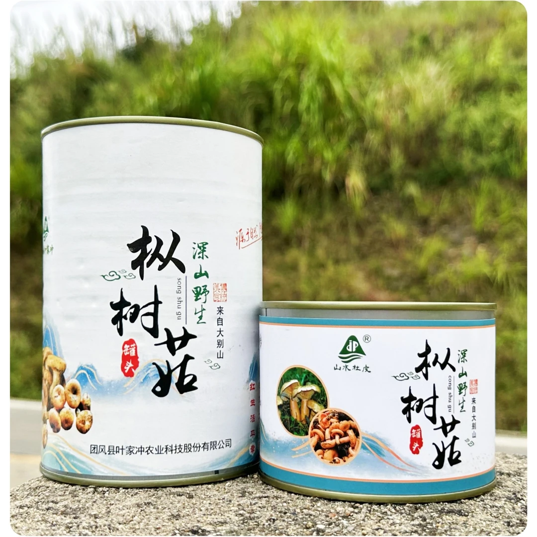 但记铺子 野生枞树菇汤 罐头装 肉质鲜美 美味食品