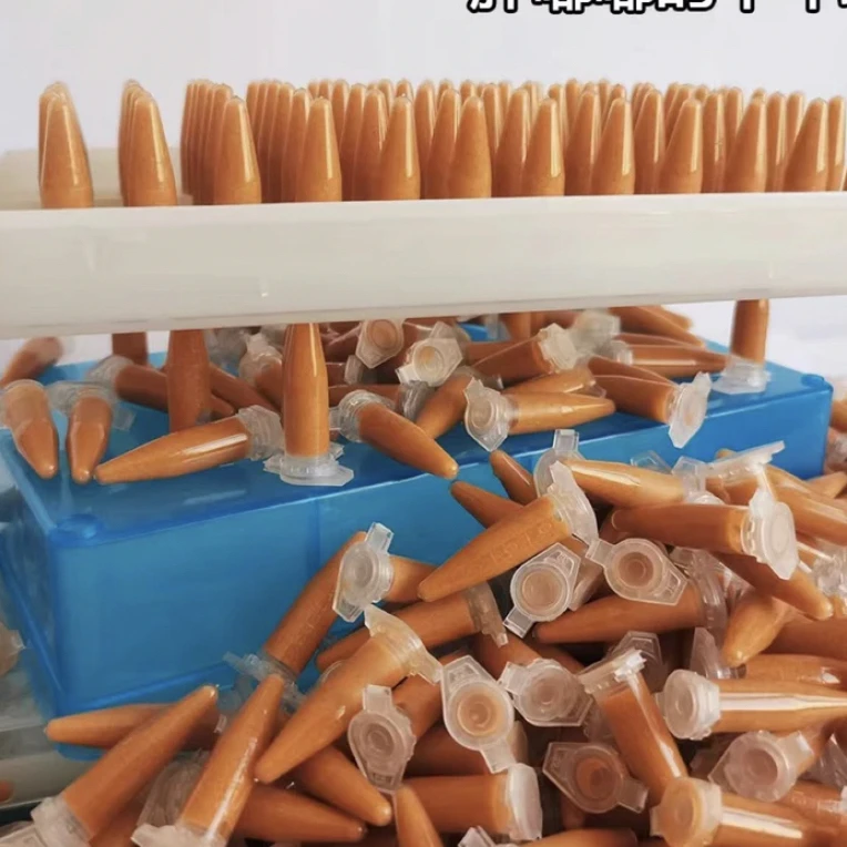 冷冻保鲜无水丰年虾卵幼虫免孵化小型热带鱼开口鱼食鱼粮营养