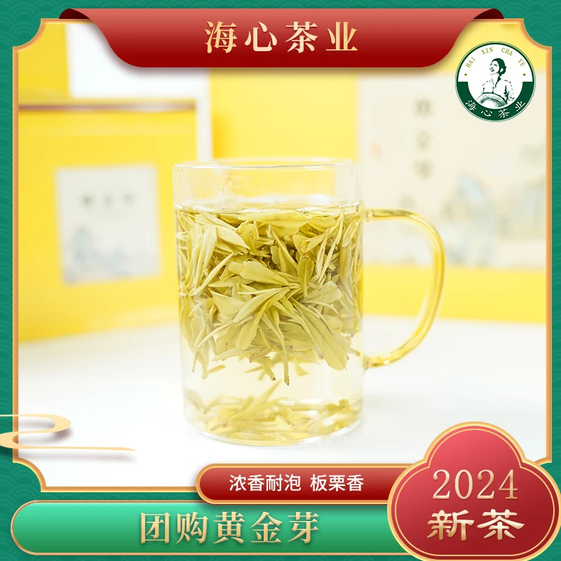 海心茶业团购黄金芽{2024新茶}浓香耐泡原产地好茶老茶客优选