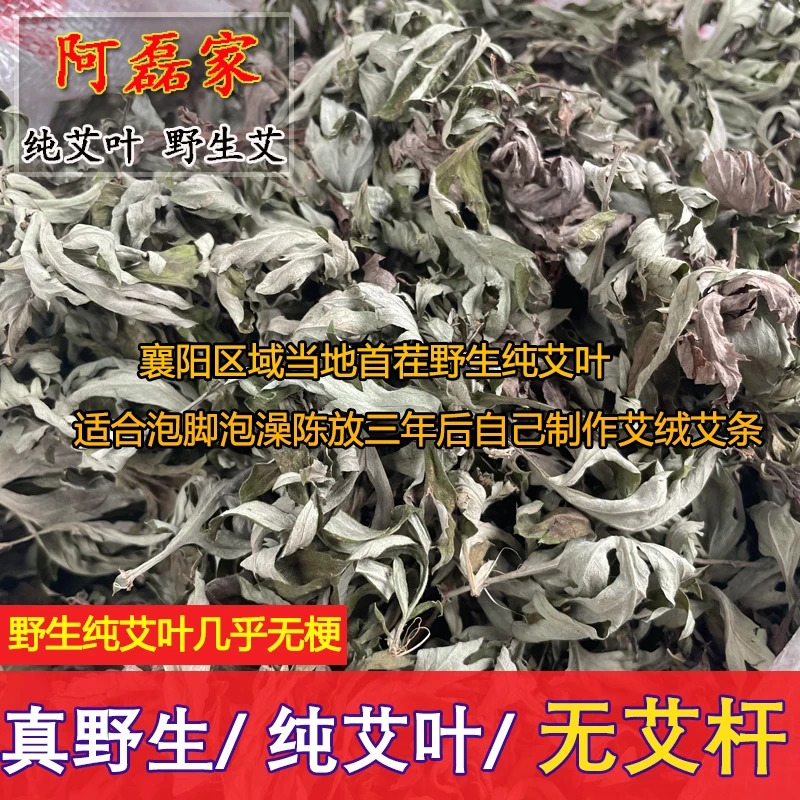 阿磊家2024年2023年首茬野生艾叶襄阳茨河镇村子岁数大的人采摘