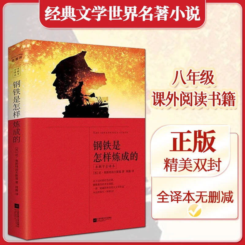 钢铁是怎样炼成的+傅雷家书初中生初二八年级课外阅读书籍