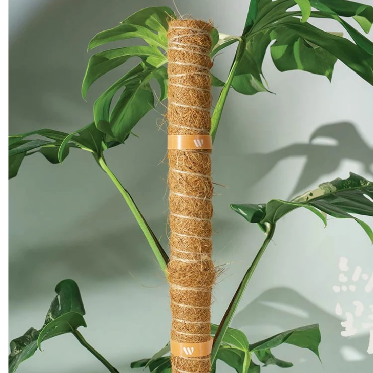 纵野/棕柱 爬藤植物支撑杆固定架pvc可拼接棕棒棕榈柱防霉塑料芯