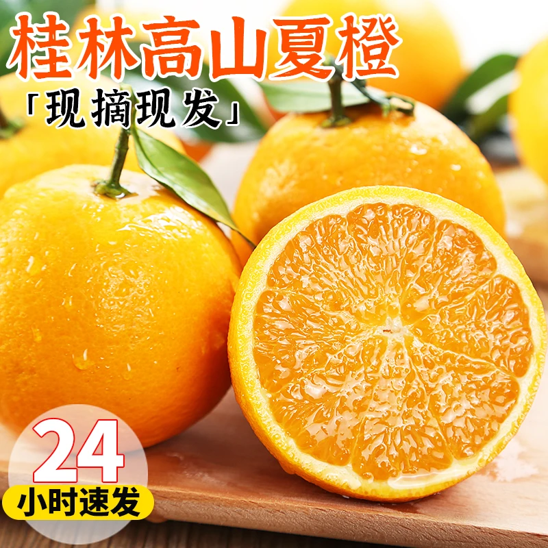 【现摘现发】广西桂林高山夏橙橙子新鲜5/9斤自然熟采摘现摘包邮