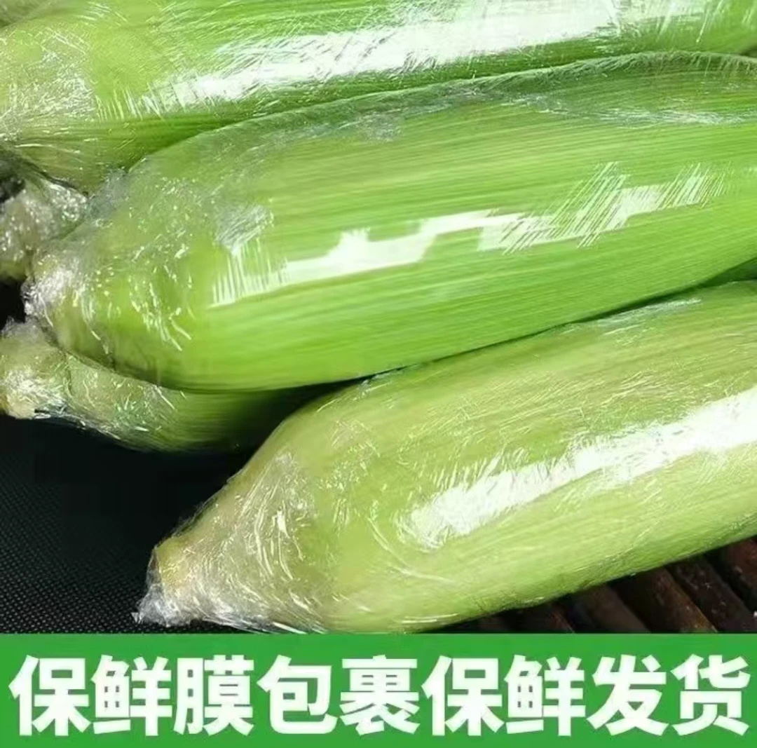 2024年东北新鲜黏玉米现摘现发农家头茬黏玉米5斤