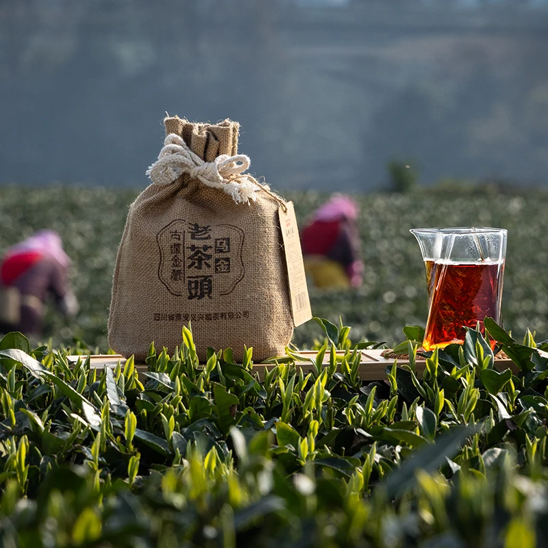 【厂长私藏—老茶头】重磅年份黑茶义兴藏茶四川黑茶2015年原料