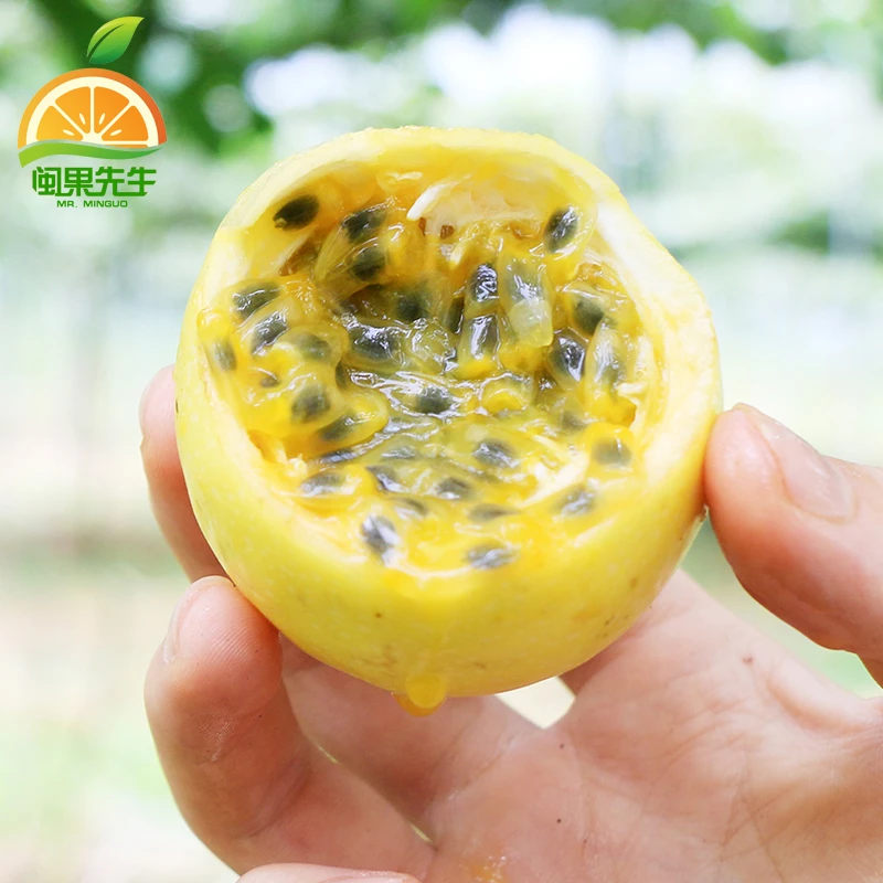 钦蜜9号黄金百香果大果新鲜多汁香甜水果当季产地直发做果汁