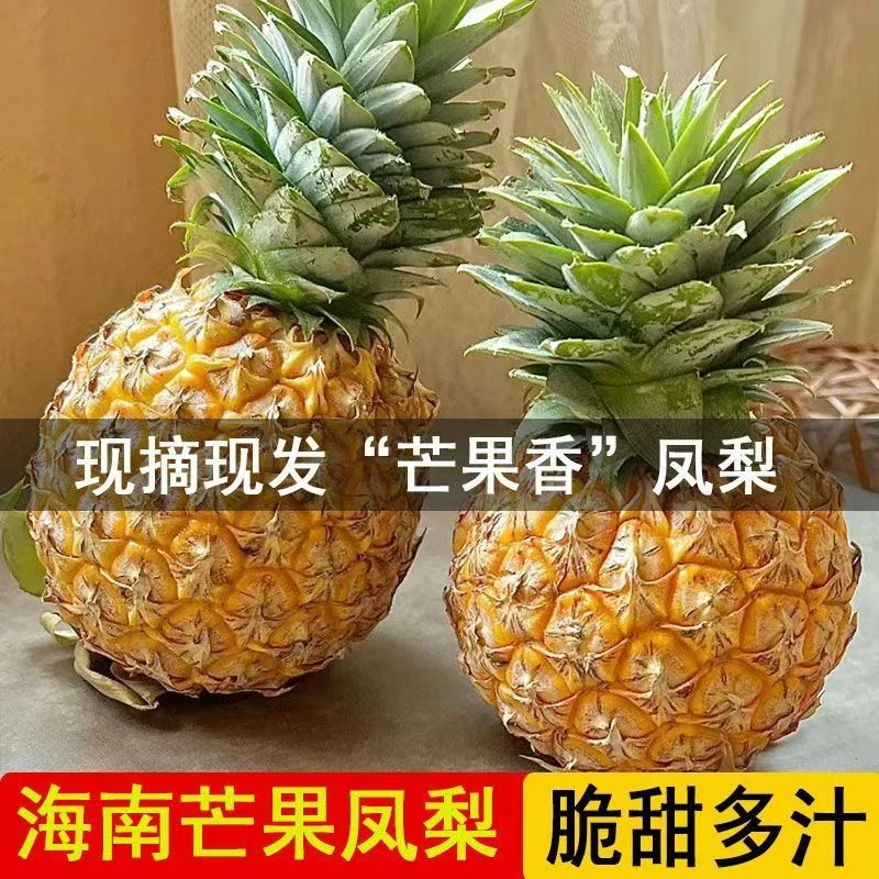 【芒果凤梨顺丰2】自然成熟芒果凤梨台农23号新鲜水果应季现摘