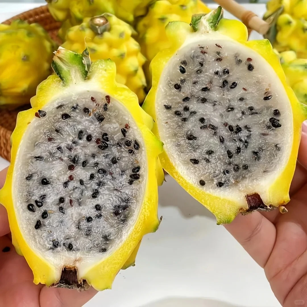 （顺丰次日达）燕窝果/麒麟果