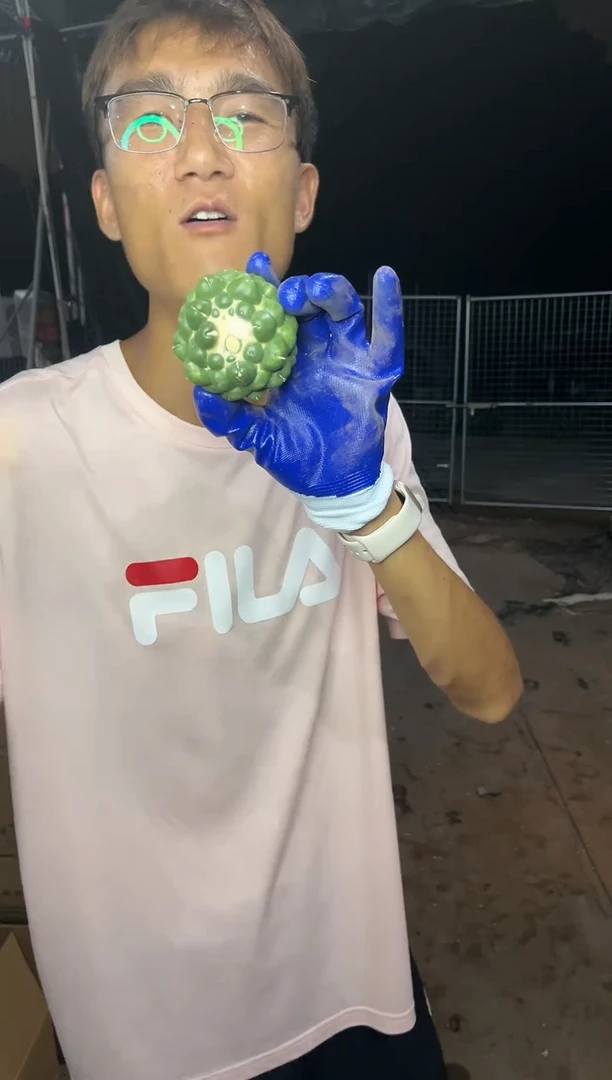 【闪购商品】无刺象牙6-7cm39.99