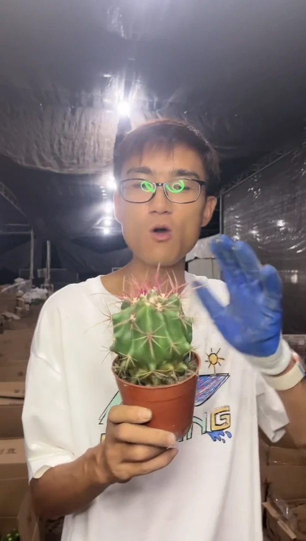 【闪购商品】7.16-77实生红虎9.9