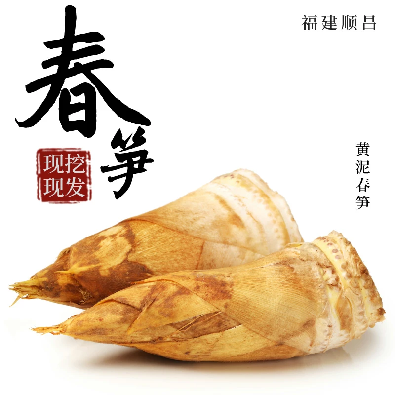 福建黄泥春笋新鲜现挖现发3斤5斤包邮切除老根发货炒肉煲汤好食材