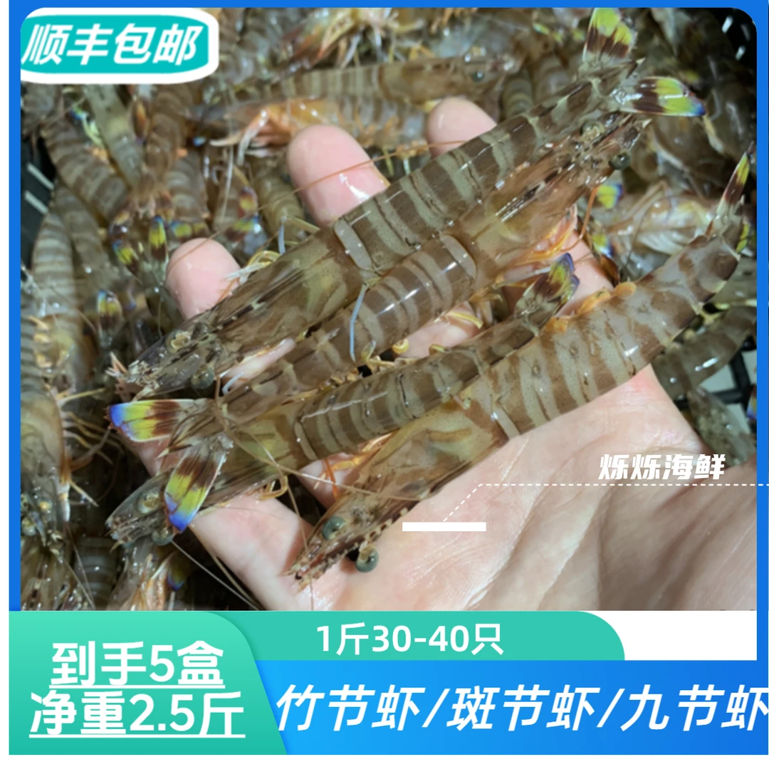 1斤30-40只斑节虾竹节虾 活虾急冻发货 1盒16-20只