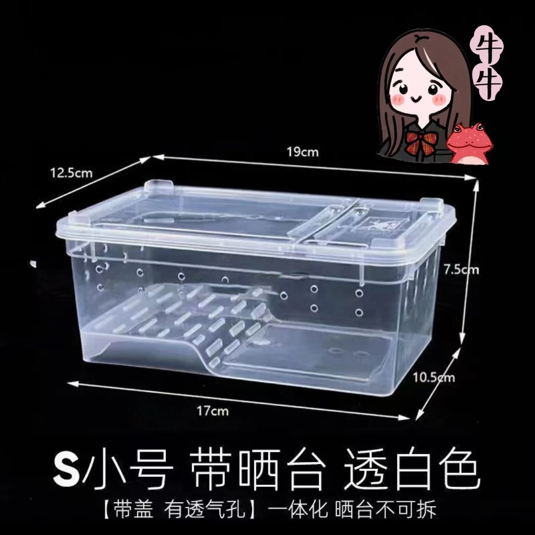 爬宠饲养盒蛙蛙专用两栖饲养盒给爬宠有个家