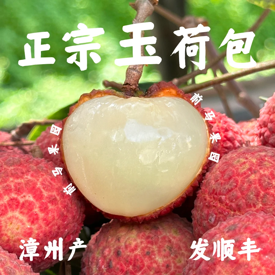 玉荷包荔枝 现摘现发 福建漳州果园直发 顺丰速运