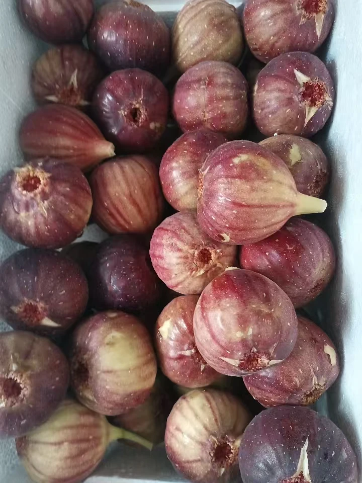（果甄鲜）无花果单斤（有破皮情况 介意勿拍）