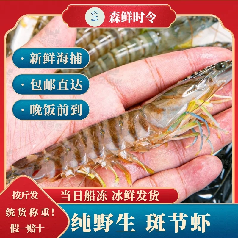 【送礼精品】12~14只 特大号斑节虾 宴请精品