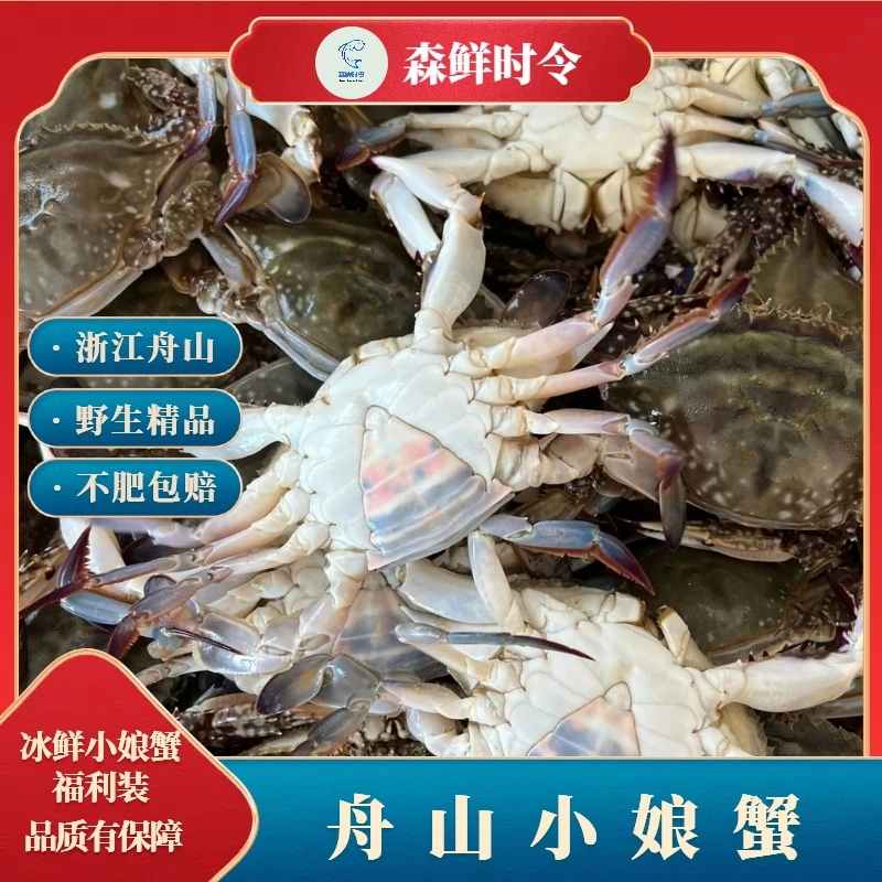 小娘蟹/母蟹自选  到手2斤 不肥包赔