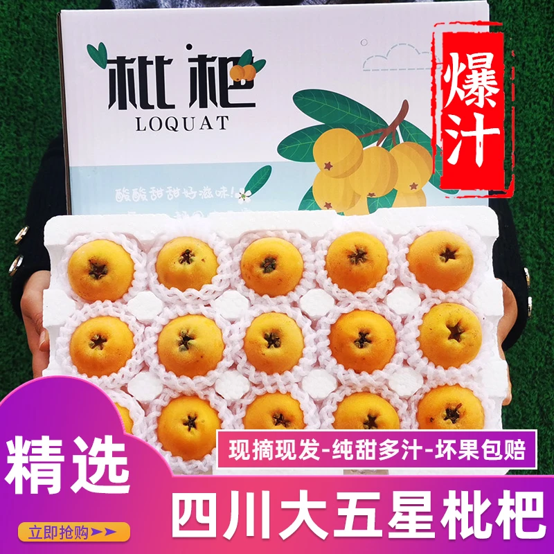 【顺丰/京东空运-精品礼盒】四川大五星枇杷新鲜水果果当季大果礼盒