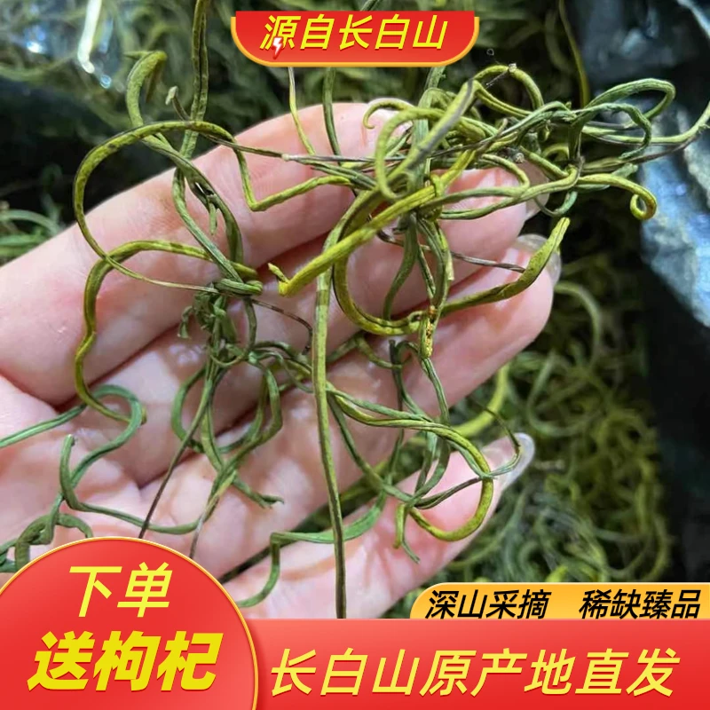 长白山本地黄金草一罐净重50克