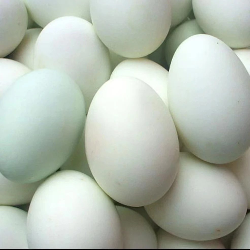 广西南宁市百济镇农家散养土鸭蛋新鲜一箱20枚（顺丰包邮）