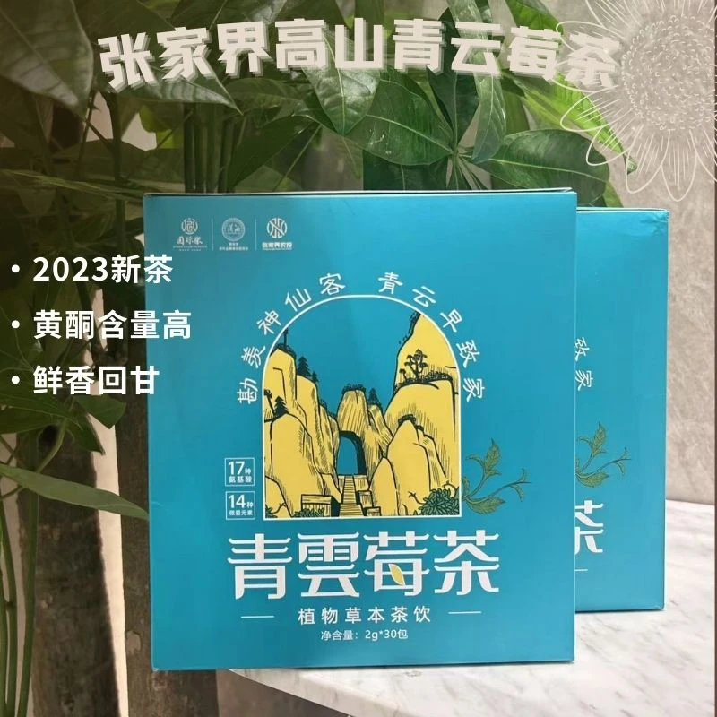 国际张张家界青云莓茶独立包装30包共60g盒装