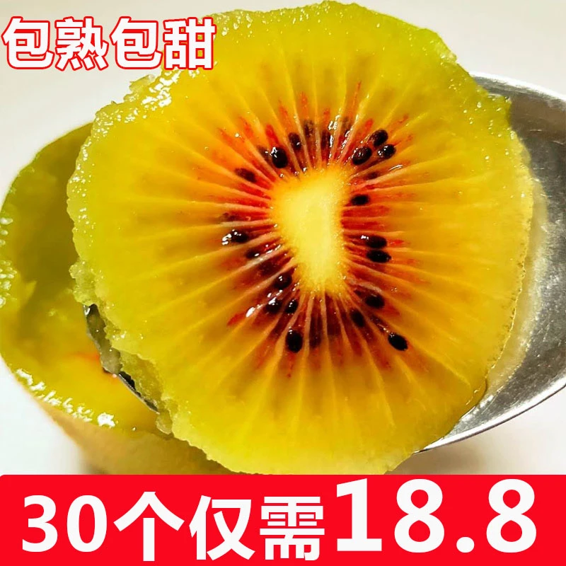 正宗四川红心猕猴桃大果3斤5斤新鲜水果现摘爆甜孕妇水果