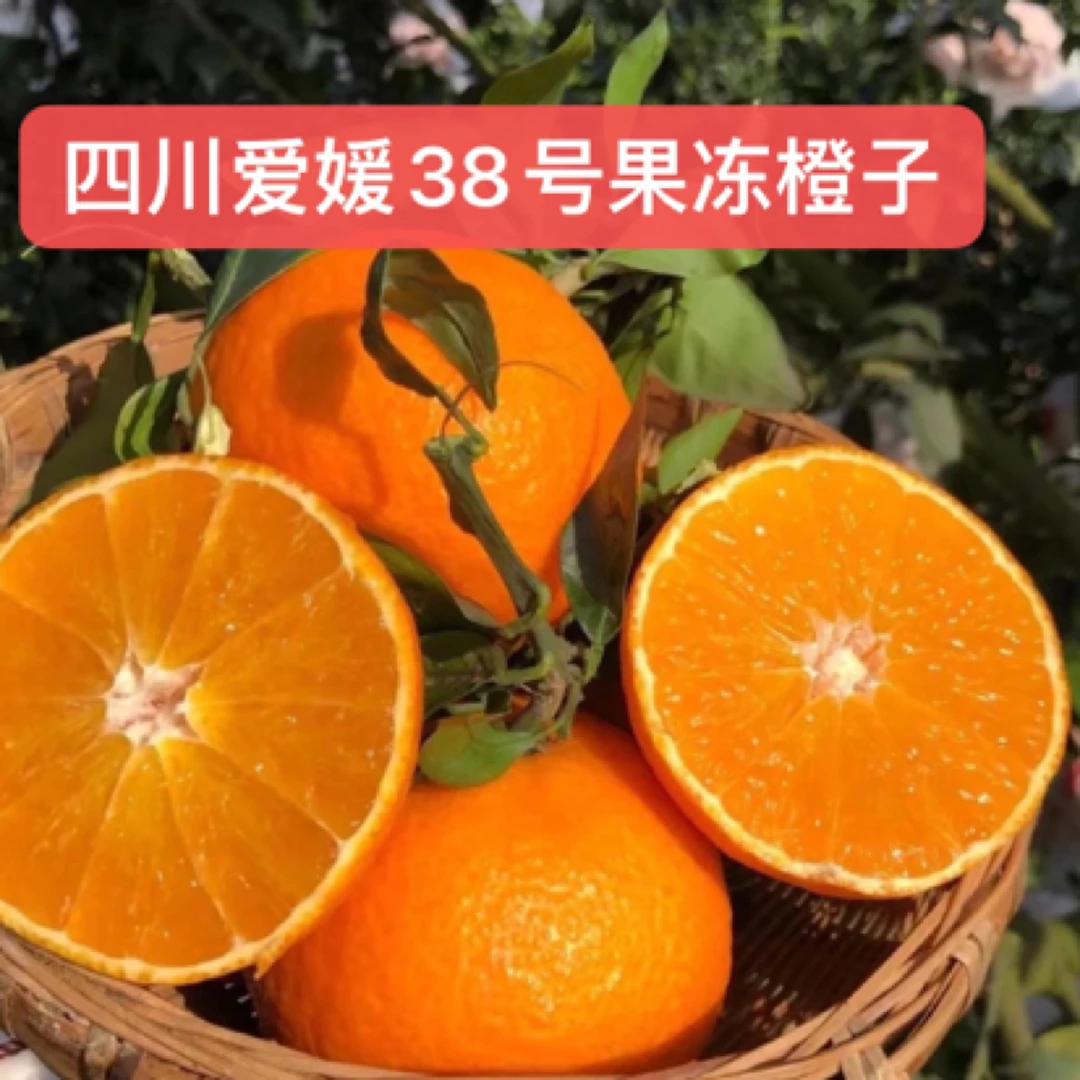 （中通）四川蒲江爱媛38号果冻橙新鲜孕妇水果4.5斤8斤果园包邮
