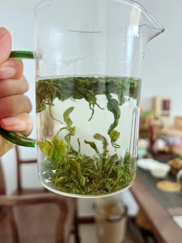 2025日照绿茶浓香型板栗香搭配日照红茶蜜薯香红茶送保温杯