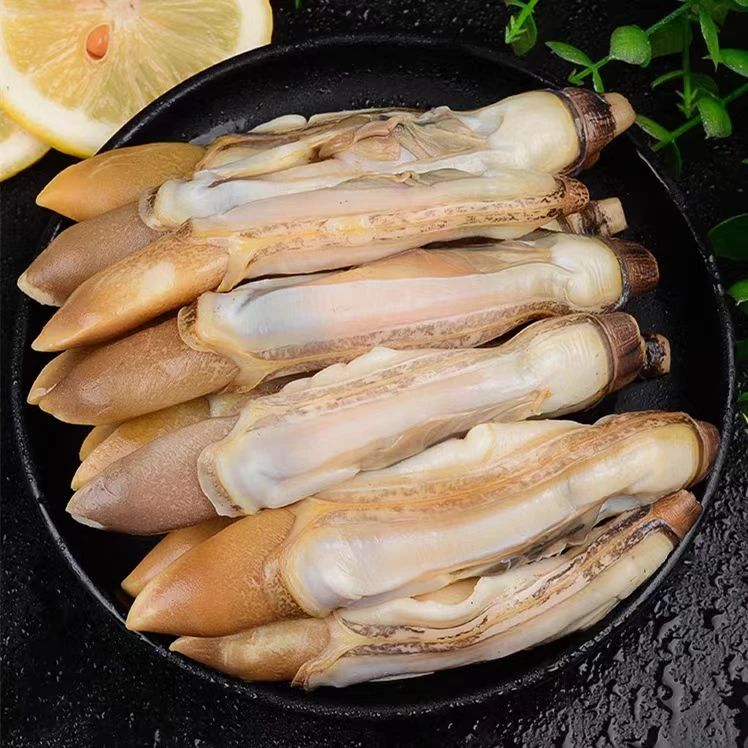 1A 蛏王肉 速冻锁鲜 共4包 含保护冰500g/包 顺丰冷链包邮