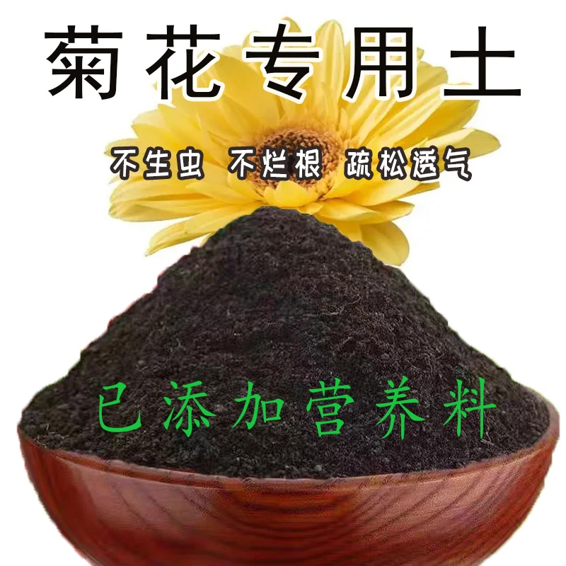 菊花专用土菊花营养土有机肥料土透气家用盆栽绿植花卉透气疏松