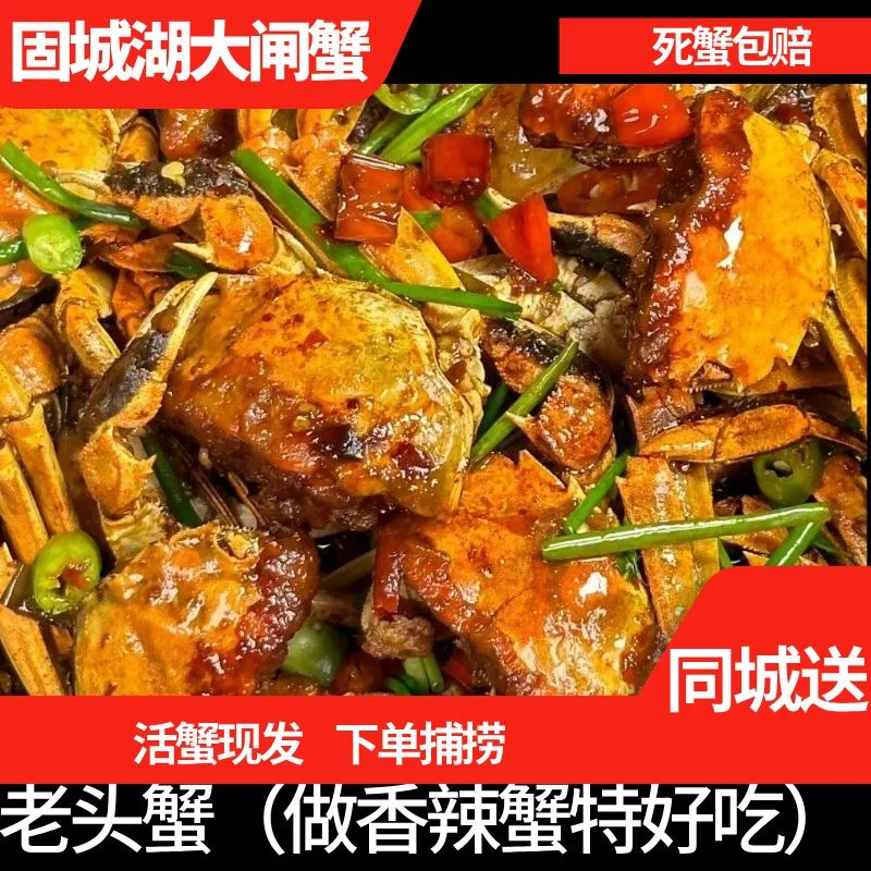 【活蟹现发老头蟹】29.9元15只送5只做香辣蟹特好吃【嫌小慎拍】
